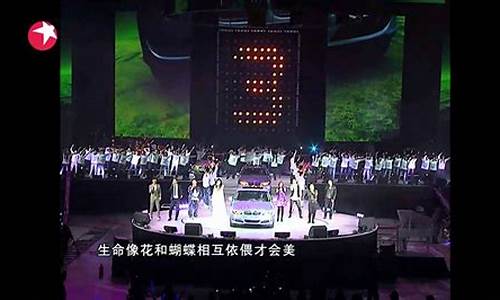 2010宝马3系演唱会_宝马2010款3系